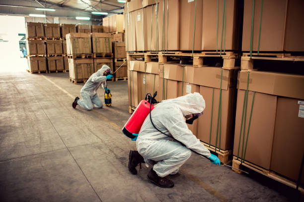 Best Affordable Pest Control Services  in Conyngham, PA