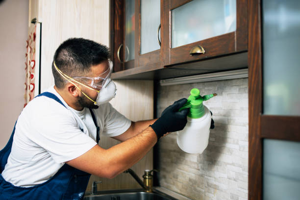 Best Residential Pest Control  in Conyngham, PA