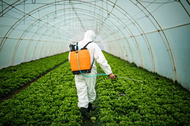 Best Ant Control Services  in Conyngham, PA