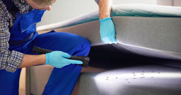 Best Affordable Pest Control Services  in Conyngham, PA